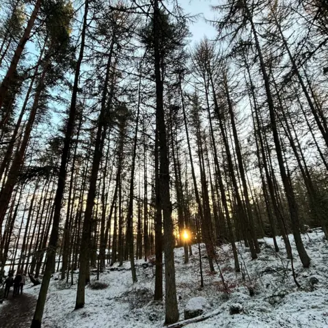 Sue Powis A woodland area with pine trees. There is a thin layer of snow on the ground and the sun is poking through the trees to create an orange glow in the centre of the image.