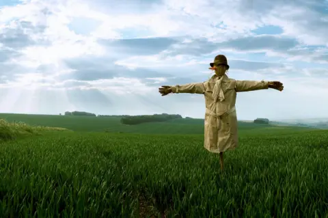 Getty Images A scarecrow in a field