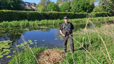 A police officer in uniform stands in front of a canal with lily pads in it. The officer, who wears a black uniform and cap, stands next to an empty nest. It is a bright day.