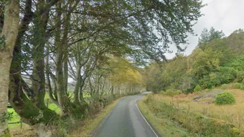 A picture of the A861 near Kinlochmoidart, with trees lining the left embankment and grass on the right hand side.