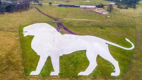 ZSL Whipsnade Zoo White chalk lion on a green hillside