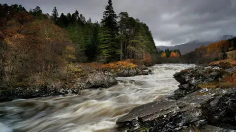 John Cuthbert Image of a flowing river, surrounded by trees below a grey cloudy sky.