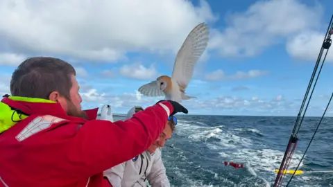 A tan and white barn owl attempting to land on a man's arm while on a boat out at sea.