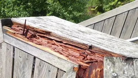 Nick Kempe Rotting timber on a wooden structure