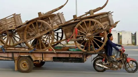 A man on a motorcycle transports ox carts on a trailer