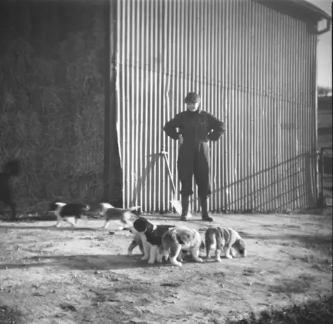 Family photo A woman in a boiler suit stands outside a barn looking down on a litter of puppies