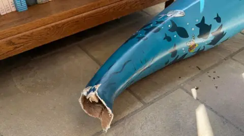 GSPCA The dolphin model is lying on the floor and the damage is clear. It has a ragged hole where it had been attacked to the rest of its tail and plinth. It is decorated with cartoon fish and seaweed.