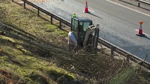 An excavator moving trees on an embankment by the side of a dual carriageway. A number of trees and branches are lying on the ground in front of it. Cones have been placed on the road behind it.