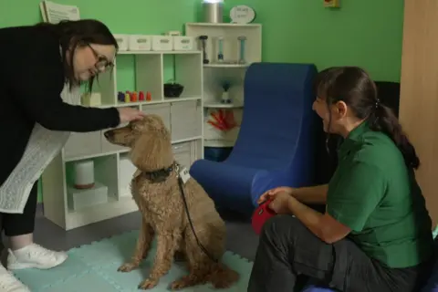 Frankie, a woman with dark medium-length hair, who is wearing glasses, a black top, a white blouse, black trousers and white trainers, is bending over to pat Ruby the poodle. Ruby's handler Katia Stanford is sitting in a chair, watching and smiling. They are in a room with green walls and white cube storage units behind them.