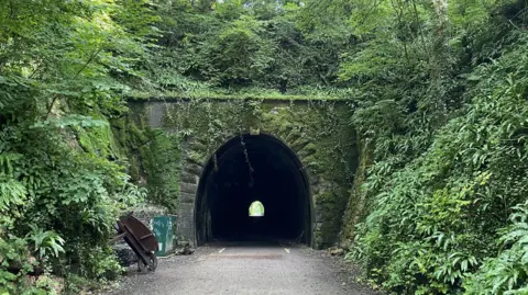 A former railway tunnel nestled below greenery and trees on the Strawberry Line walking path. 