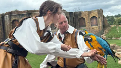 Two keepers, one a man and the other a woman, wearing Tudor-style brown tunics and white shirts, hand a pair of blue and yellow macaws to each other.