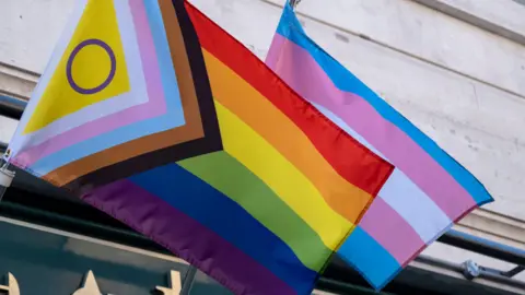 Getty Images A Pride flag installed on the side of a building beside a trans flag. The Pride flag is made up of stripes of colours that look similar to a rainbow. The transgender visibility flag is made up of blue, pink and white.