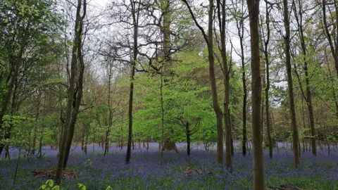 BBC Weather Watcher Angela Lower Basildon, West Berkshire