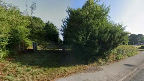 A footpath lined by trees