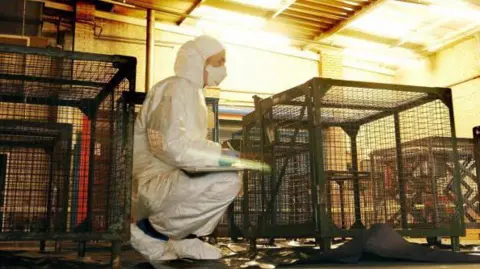 Getty Images A forensic officer inspects money cages that were used to store banknotes stolen from the Securitas depot. She is crouching near a cage and writing on a clipboard. She has a mask and a white suit and the area in the depot is lit up.