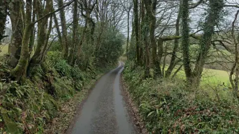 A narrow lane with steep grassy banks either side of it.
