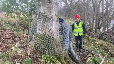 Pitlochry Path Group  The mesh has to be pegged down so the beavers can't lift it