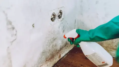 Getty Images A person in thick, green gloves is spraying something on a wall to that has black mould and damp on