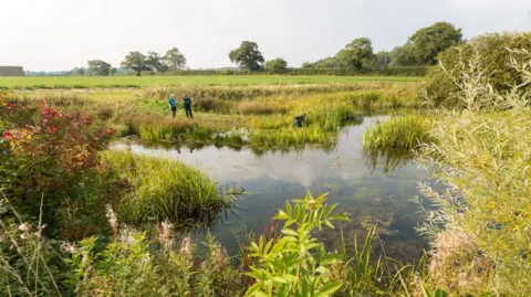 The Ruby Cube Two people stand next to a wetland pond on the Severn Vale. Around the pond are multiple plants and shrubs and in the background is a small meadow and some trees