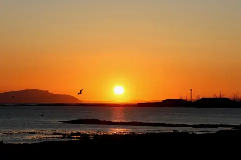 Craig Jensen An orange sunset over the water. There are silhouettes of birds in the sky.