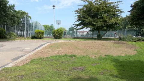 Stuart Woodward/BBC An area of grass in Chalkwell Park which has been newly seeded. There is a tennis court and basketball court in the background, with trees and bushes around