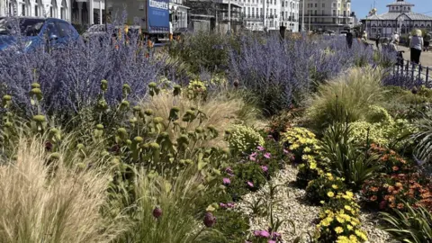 George Carden/BBC Colourful flower beds.
