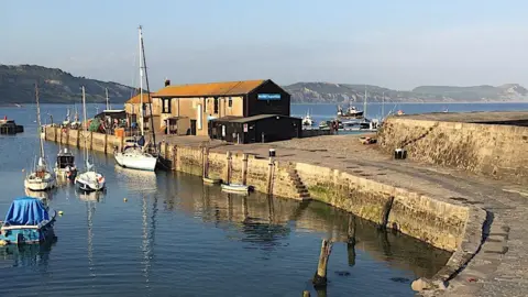 The Cobb harbour wall - a large stone breakwater with a long narrow building at one end. The water is calm and there are small boats moored inside the harbour.