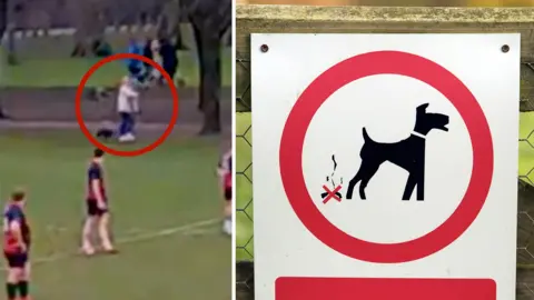 CCRC/Getty Images A composite image showing two pictures side by side. The first is a still from a video showing two rugby players looking at a woman on the sidelines with her dog, which appears to be fouling. The second image is of a  "no dog fouling" sign, with a dog and dog mess with a red cross through, in a red circle. 