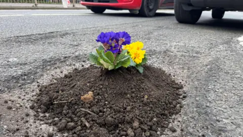 A close up shot of a pothole on a street filled with soil and also with flowers inside. A red car passes in the background. 