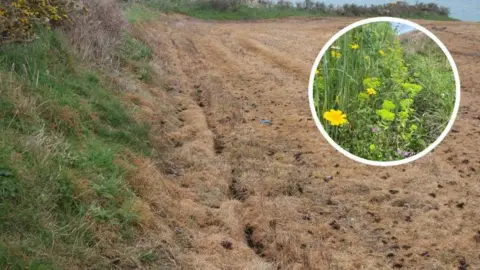 A picture of arable land on the Ceredigion coast which looks scorched and brown, with no visible crop growing, or any flowers. The land, according to National Resources Wales, was damaged almost beyond repair by the overuse of fertiliser and weed killers. The farmer denied any deliberate act of vandalism.