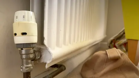 In the foreground is a radiator control with a white radiator behind it.