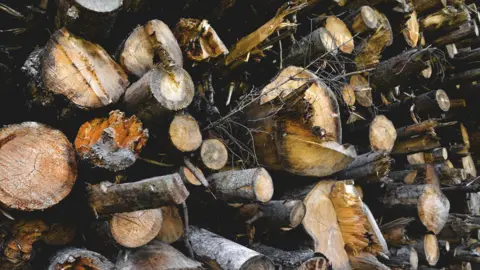 A stack of cut wood.