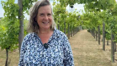 BBC A woman with grey hair in a blue top looks straight ahead at camera in her vineyard.