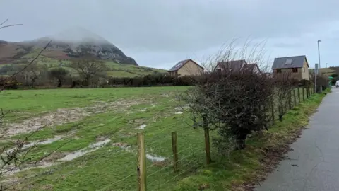 Photo of the site in the village of Trevor in Gwynedd. Three homes can be seen as well as a field of grass and mountain in the distance.