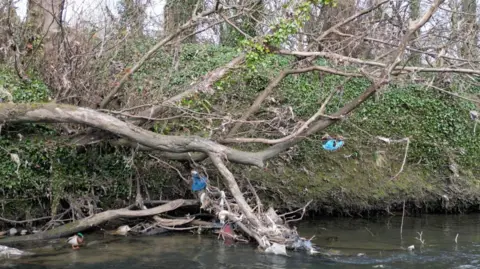 Litter stuck in tree in river 