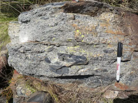 Nadja Drabon A rock from the seafloor with a pen for scale