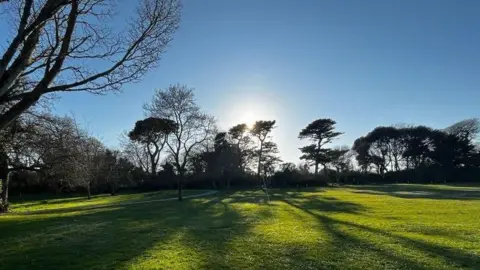 Árboles y un sol bajo proyectando sombras sobre el césped en un parque.