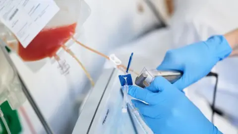 Anthony Nolan A close-up of a medical professional in blue gloves performing a stem cell donation procedure with a blood bag and medical equipment 