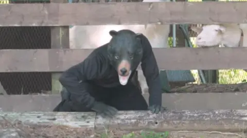 Man dressed as a bear