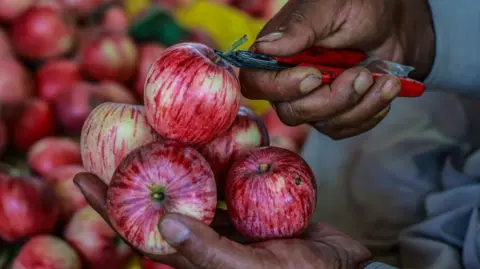 Getty Images A man holds five delicious-looking apples in his hand
