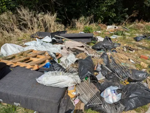 Image shows a large patch of grass covered in rubbish. There multiple black bags, a wooden pallet, sofa cushions and washing lines.