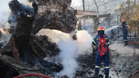 Firefighters work on a wildfire which prompted evacuations on the island of Salamina