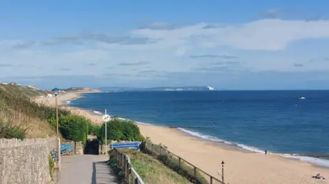 SusieBlue A long stretch of golden beach, lapped by sea waves, can be seen from the cliff above stretching towards the horizon, with blue skies above