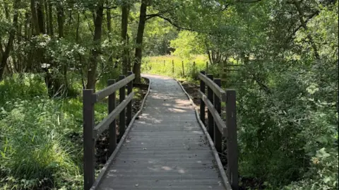 A wooden boardwalk with dark handrails curves gently through a wooded nature area. Trees and dense green vegetation line both sides of the path, creating a shaded corridor that opens onto a sunlit grassy meadow in the distance. Dappled sunlight filters through the tree canopy onto the walkway, highlighting the natural, tranquil setting.