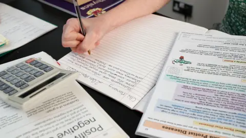 BBC child doing school work