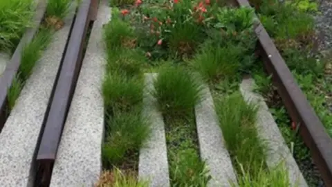 Long concrete and metal sleepers planted with greenery and resembling long railway tracks