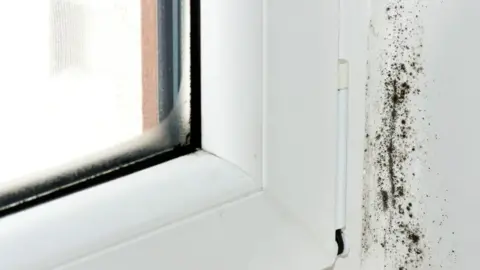 Getty Images Mould on a window sill is visible next to a white window frame