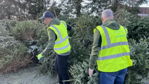Nicola Haseler / BBC Two male volunteers in high-visibility jackets place fir trees into a large pile of used trees. There is frost on the ground.