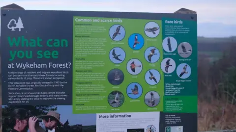Forestry England An information sign stands in a wooded landscape at a viewpoint focused on birdwatching, in Wykeham Forest. The predominantly green sign is divided into several sections, with text and images under the heading: 'What can you see at Wykeham Forest?'