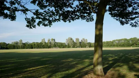 Nyree Ambarchian A tree stands in the foreground, casting a shadow over the grass of playing fields. In the background are football goals and a perimeter of trees and bushes.